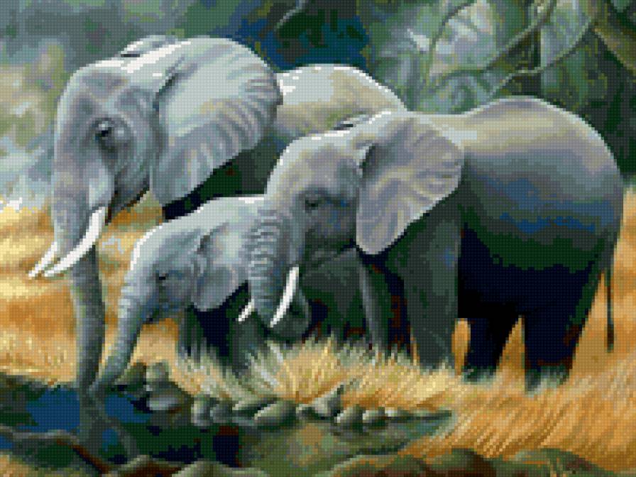 Семья слонов - слоны, животные - предпросмотр