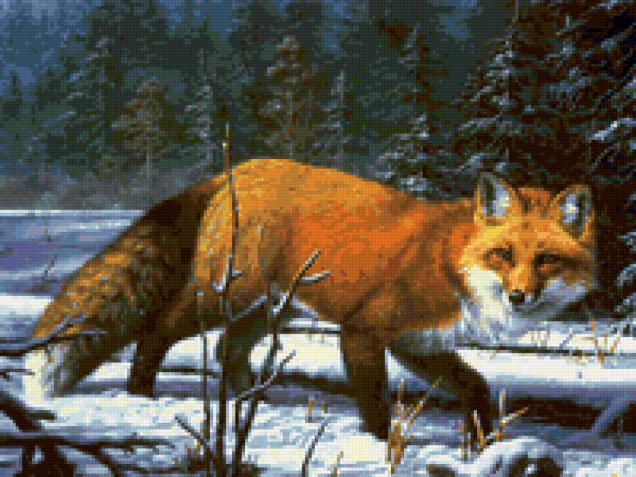 Лиса - животные, лисы - предпросмотр