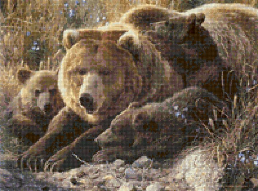 Медведица с медвежатами - животные, мать и дитя, медведи - предпросмотр