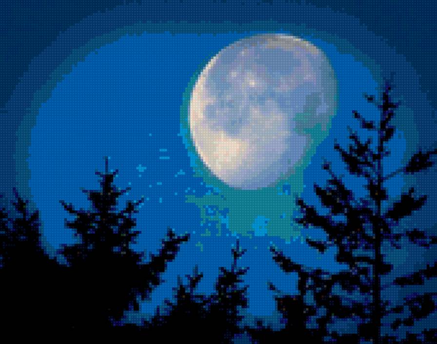 Луна - лес, ночь, луна - предпросмотр