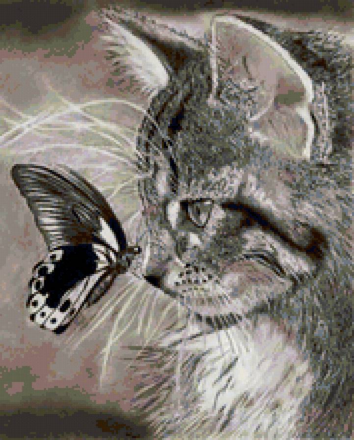 №118830 - кот, животные, бабочка - предпросмотр