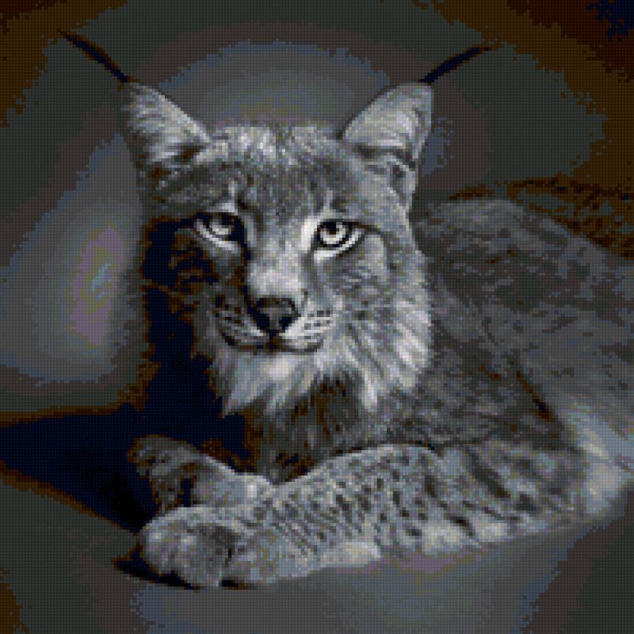 Рысь - животные, кошки, львы - предпросмотр