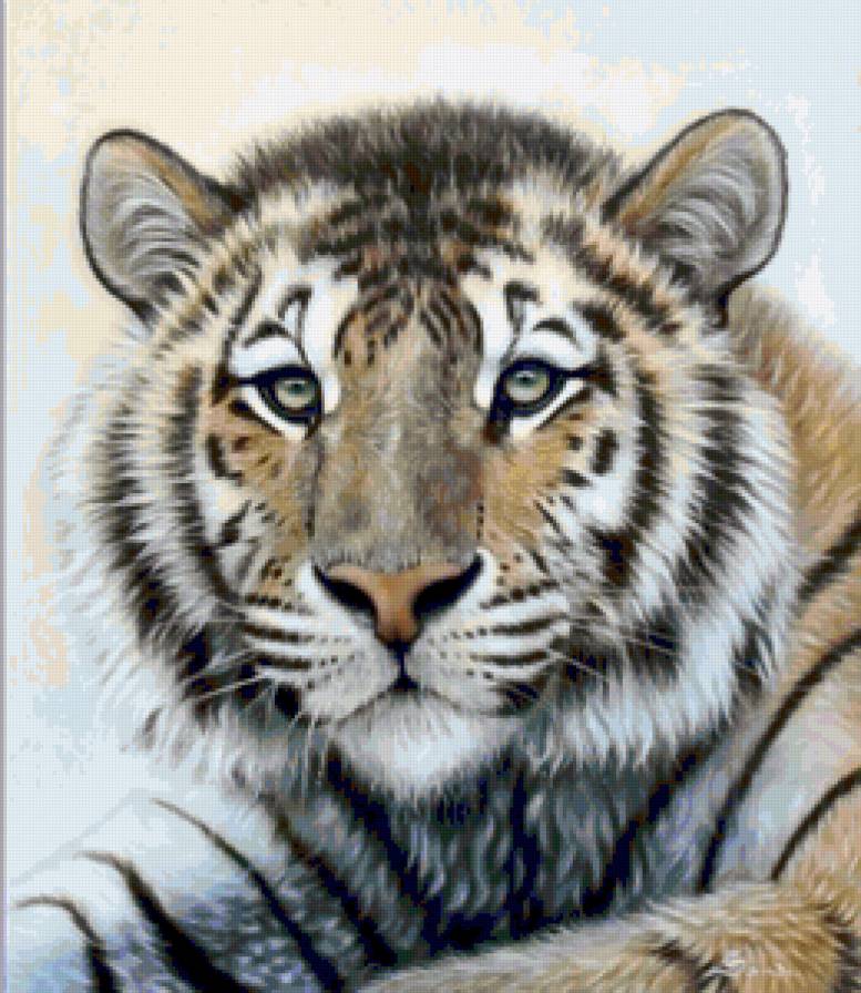 тигр - кошки, хищники - предпросмотр