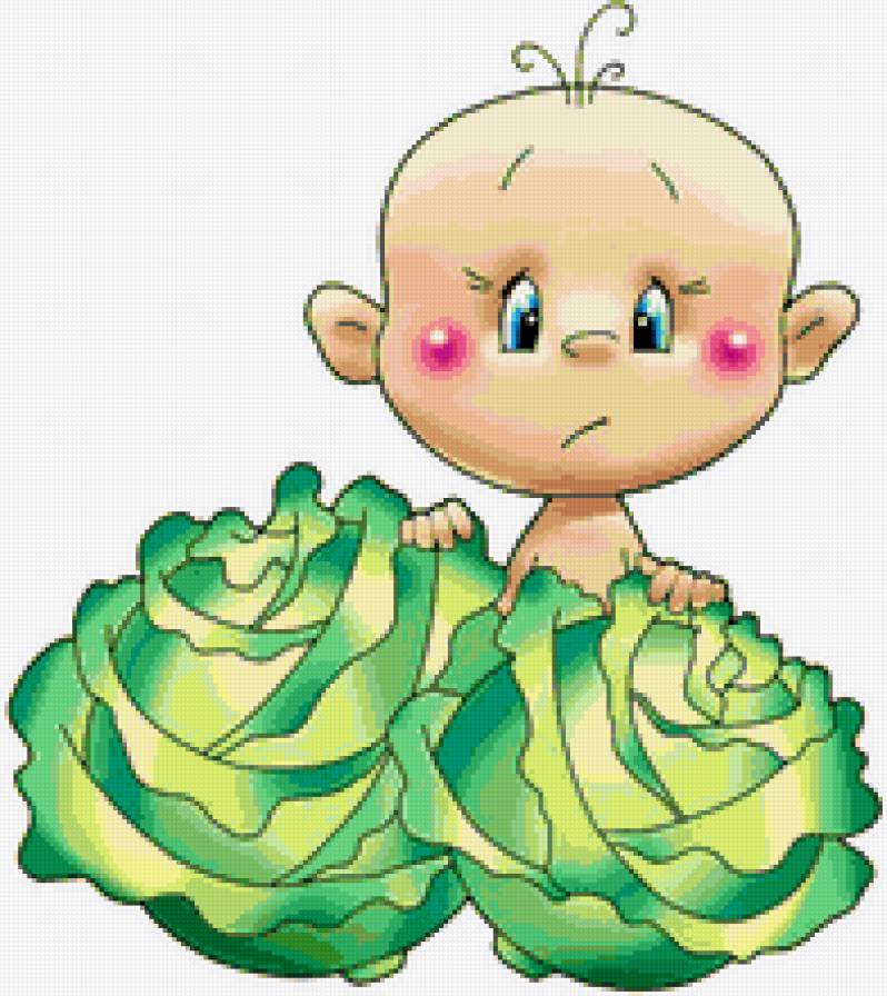 малыш в капусте - метрика, овощи, дети - предпросмотр