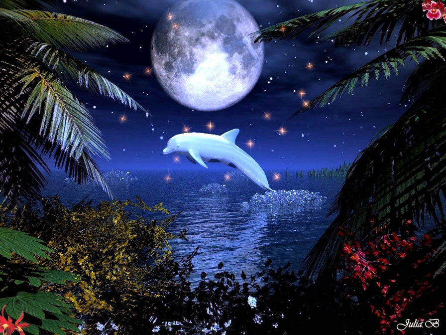 дельфин в ночи - вода, ночь, море, рыбы - оригинал