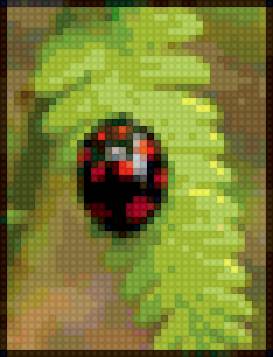 божья коровка - предпросмотр