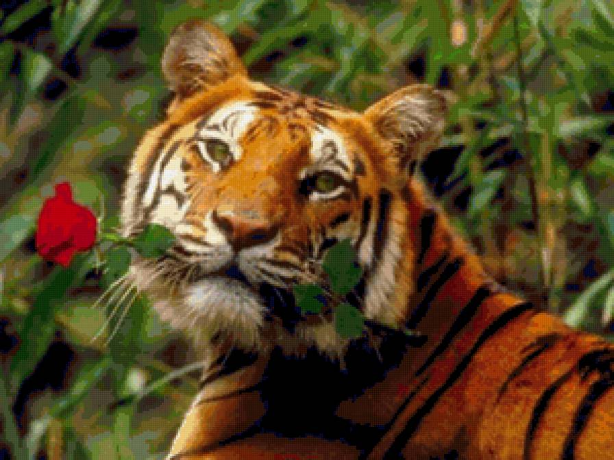 тигр - предпросмотр