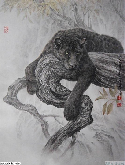 Пантера на дереве - природа, животные, пантера - оригинал