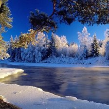 Схема вышивки «№119195»