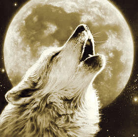 №119215 - оригинал