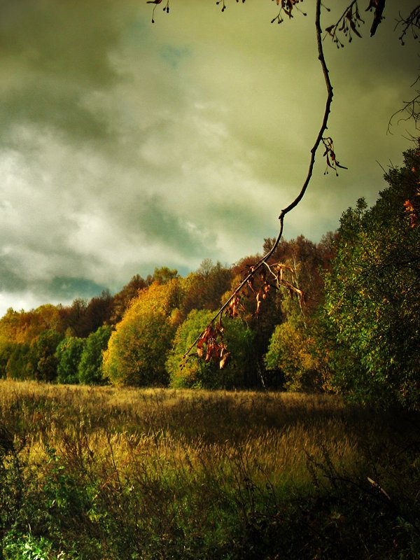 уж небо осенью дышало - осень, картина, природа - оригинал