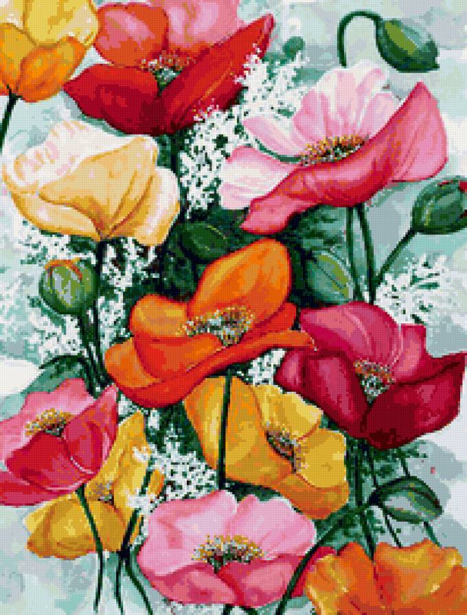 маки - маки - предпросмотр