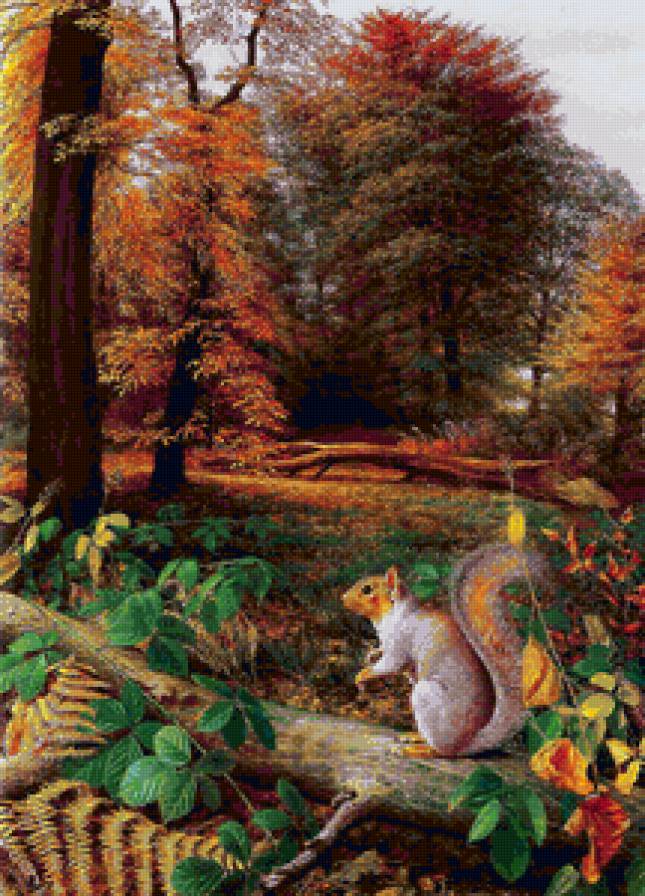 белочка - предпросмотр