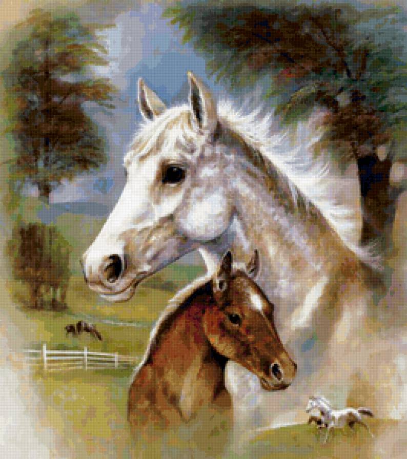 кони - предпросмотр