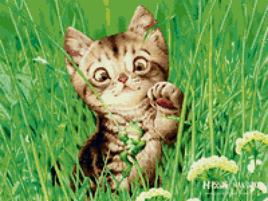 Котик 5 - предпросмотр