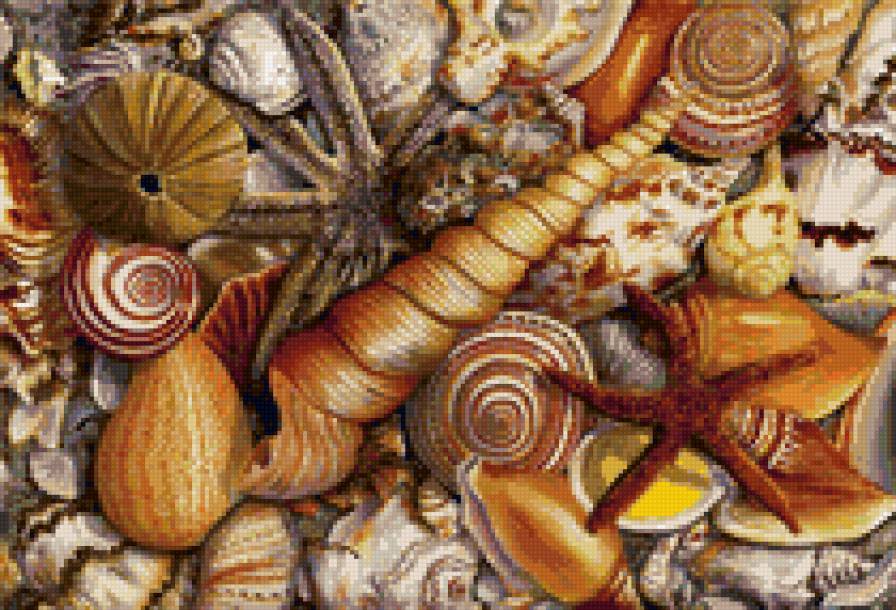 Морская - ракушки, звезды, вода, ванна, море - предпросмотр