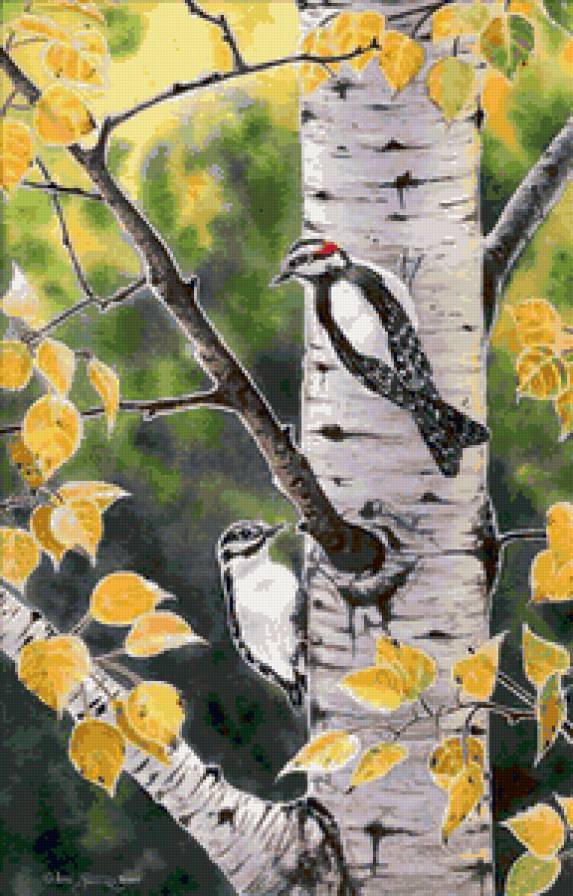 Дятлы - рисунок, птицы, животные, лес, осень, природа - предпросмотр