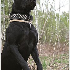 Схема вышивки «Енсон Блек Пит прайт»