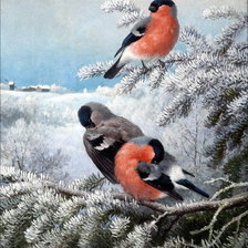 Схема вышивки «Снегири»