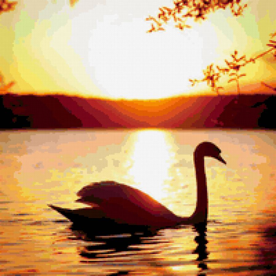 лебедь - закат, лебедь - предпросмотр