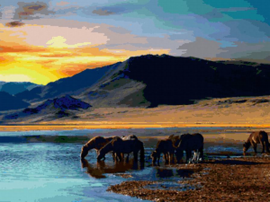 Лошади на водопое - закат, лошади, пейзаж, животные, природа - предпросмотр