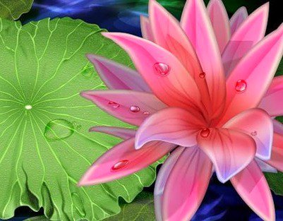 природа - цветы, лотос, картина, цветок - оригинал