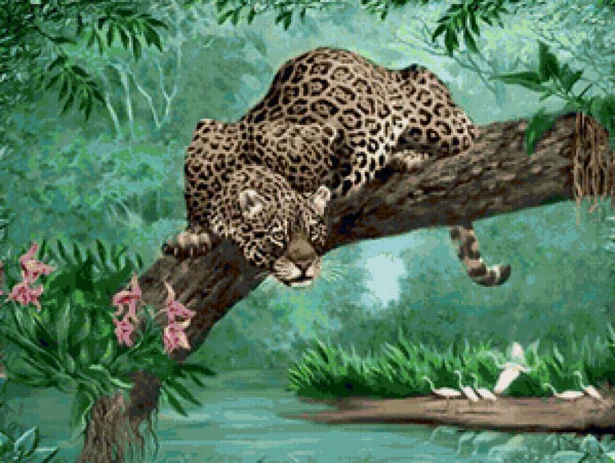 №120535 - животные - предпросмотр