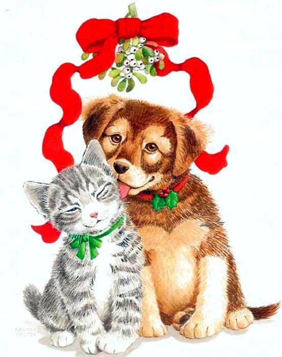 песик и котик - кот, собаки, щенок, котенок, новый год, поцелуй, собака, кошки, животные - оригинал