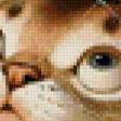 Предпросмотр схемы вышивки «Котик и паутинка» (№120622)
