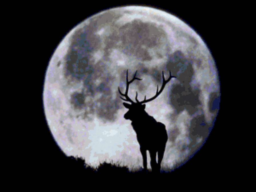 Полнолуние - полнолуние, луна, олень, животные - предпросмотр