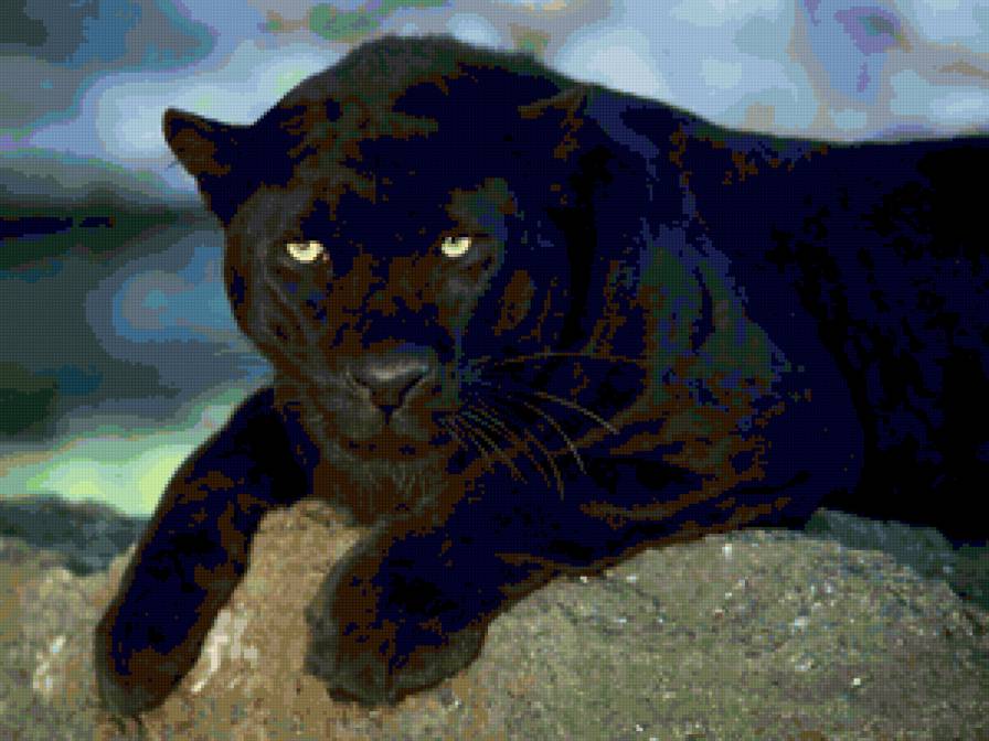 Пантера Серия "Дикие кошки" - дикие кошки, пантера, животные - предпросмотр