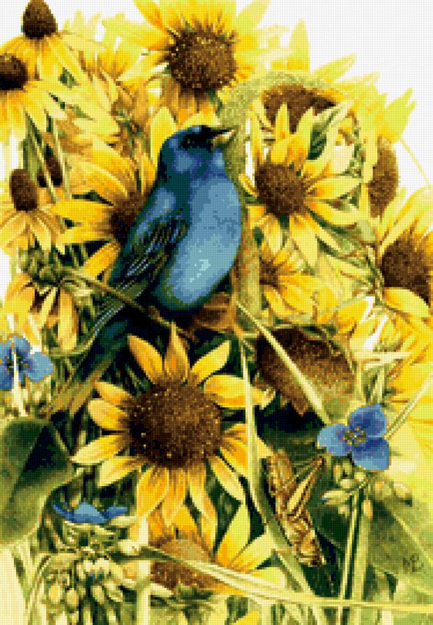 птица на подсолнухе - предпросмотр
