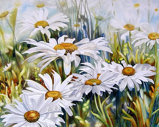 Ромашковое поле - оригинал