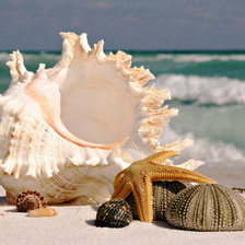 Схема вышивки «Морская тематика»