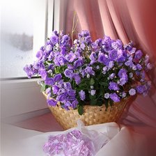 Схема вышивки «цветы»