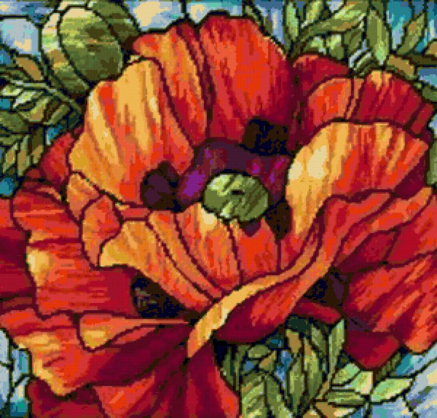 Мак - маки, цветы - предпросмотр