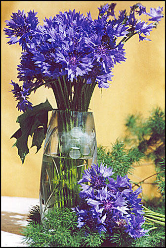 Серия "Букет" - васильки, букет, цветы - оригинал