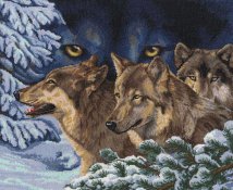 волчий взгляд - волки, животные, в лесу - оригинал