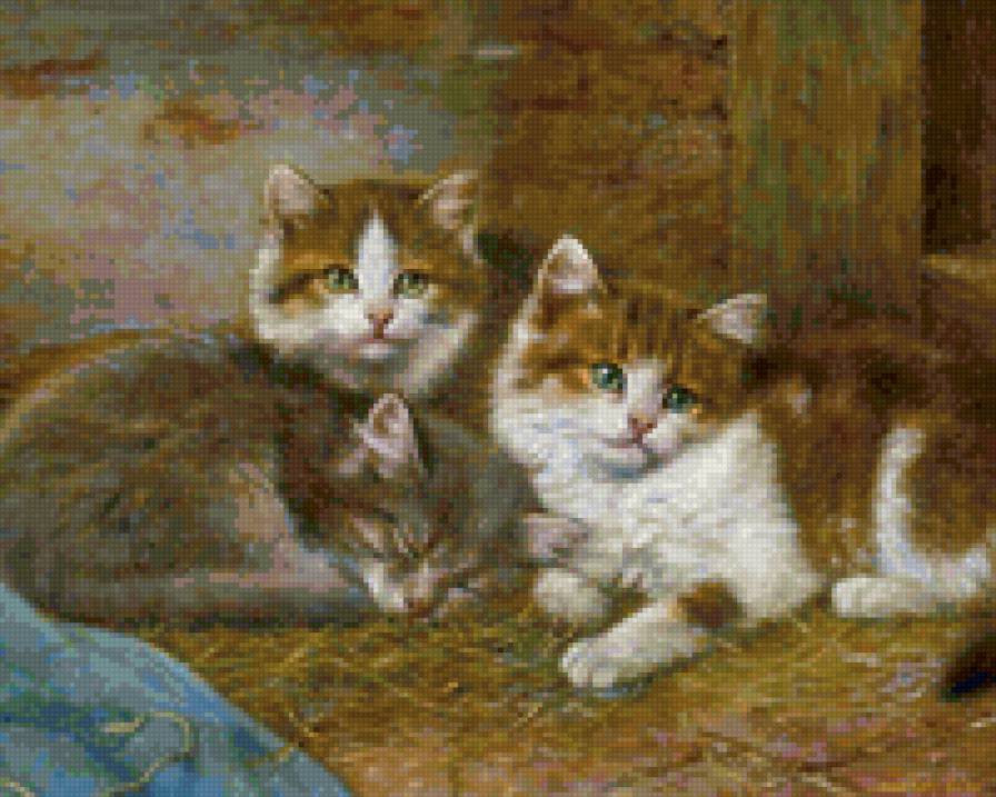 котята - предпросмотр