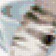 Предпросмотр схемы вышивки «котенок» (№121505)
