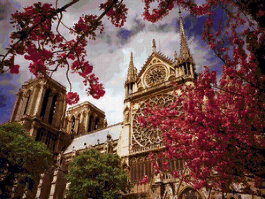 Магнолия в Париже - предпросмотр