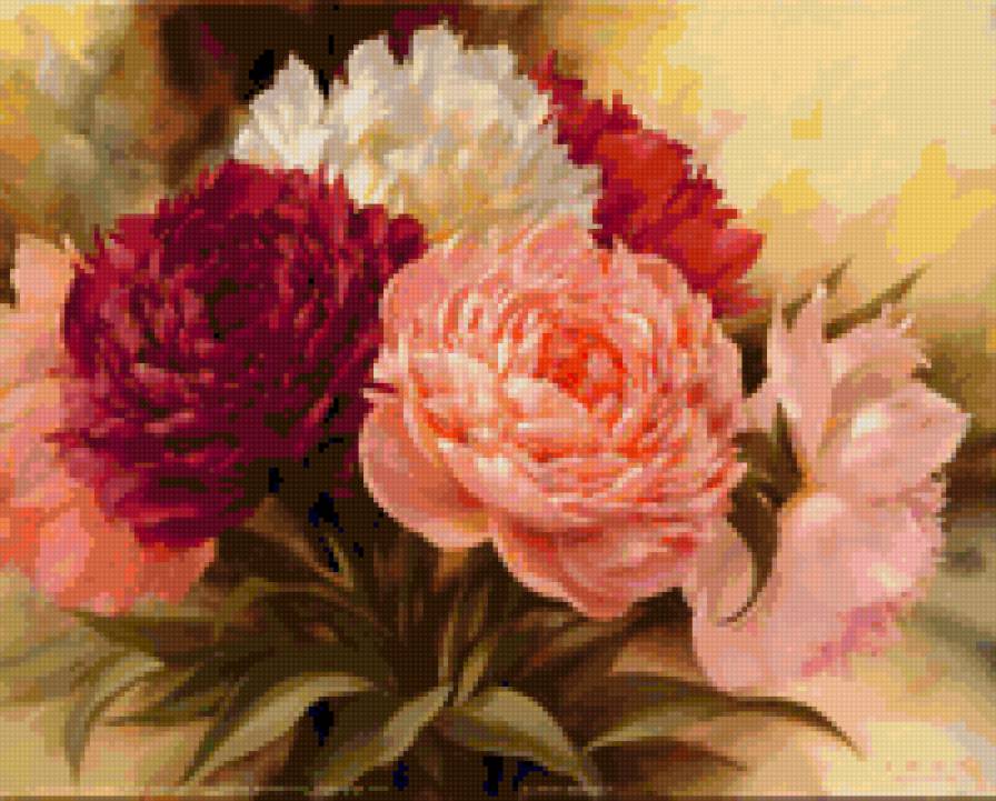 Пионы - предпросмотр