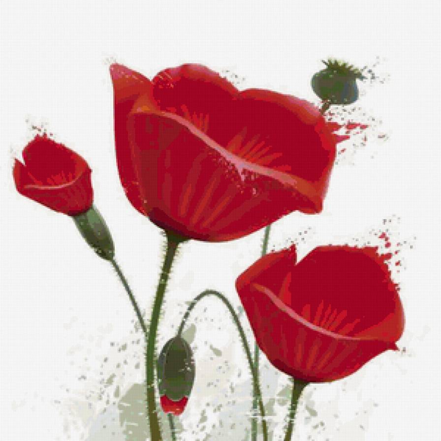 Очень красивые маки) - маки, мак - предпросмотр