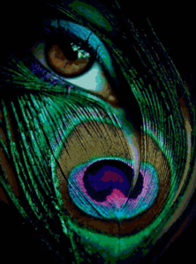 глаз - павлин, романтика, перо, зелень, глаз - предпросмотр