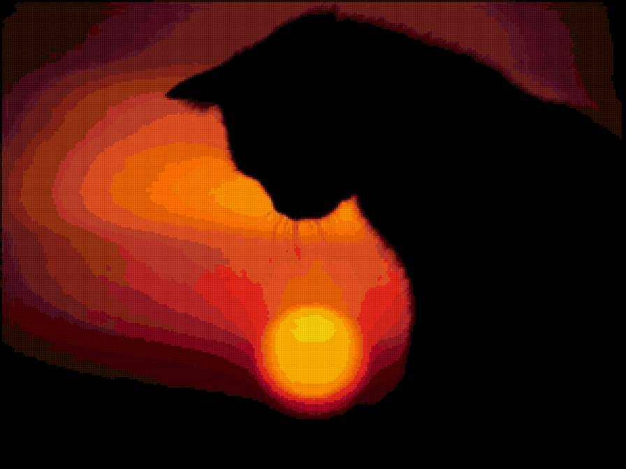 кошка - закат, кошка, солнце, черный - предпросмотр