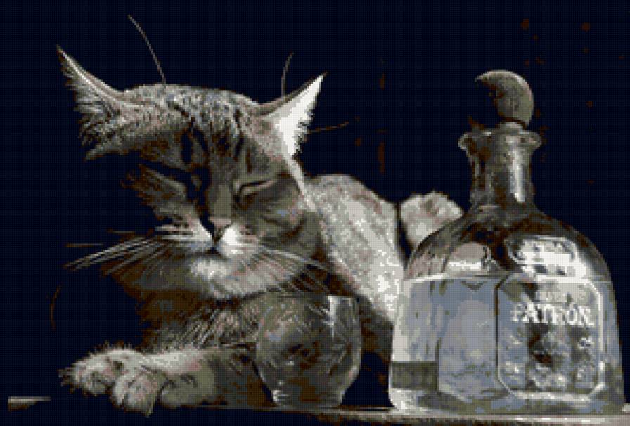 алкоголик - предпросмотр