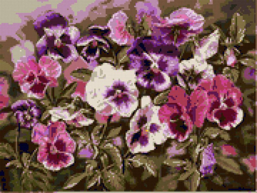 Анютины глазки - цветы - предпросмотр