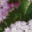 Предпросмотр схемы вышивки «Сирень» (№122441)