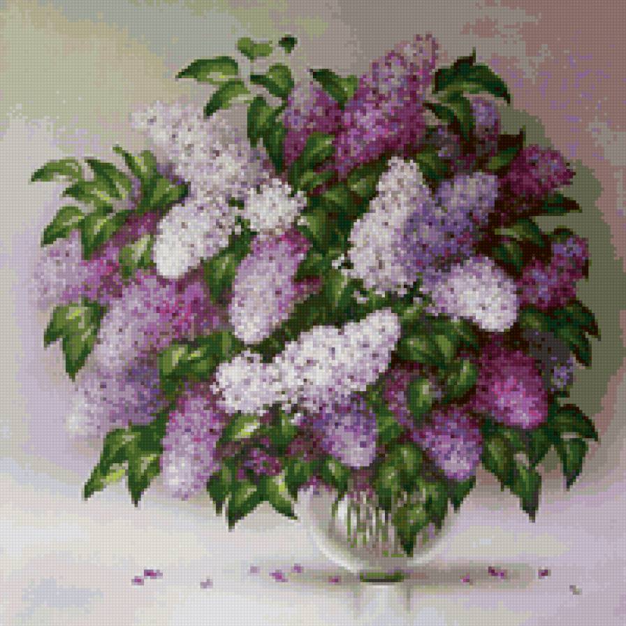 Сирень - сирень - предпросмотр