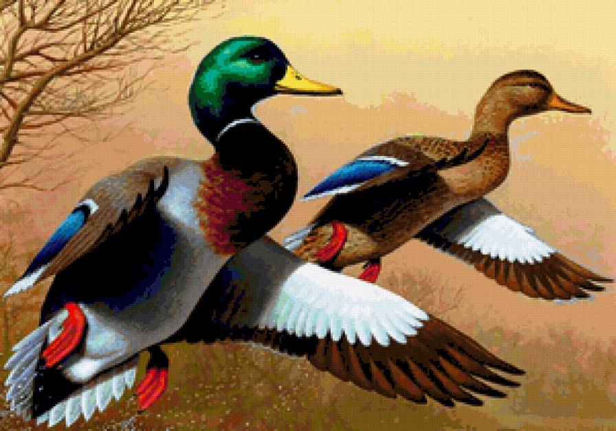 №122734 - предпросмотр